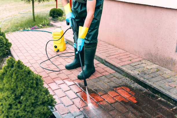 Best Deck Cleaning Services  in Wellman, IA