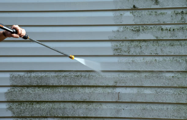 Best Affordable Power Washing  in Wellman, IA
