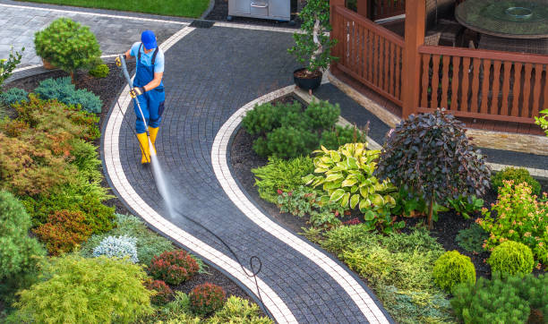 Best Residential Pressure Washing Services  in Wellman, IA