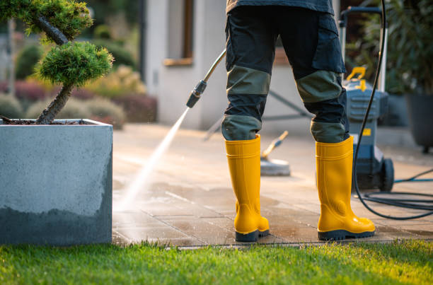 Best Power Washing Near Me  in Wellman, IA